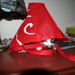 Cat hiding in a bag